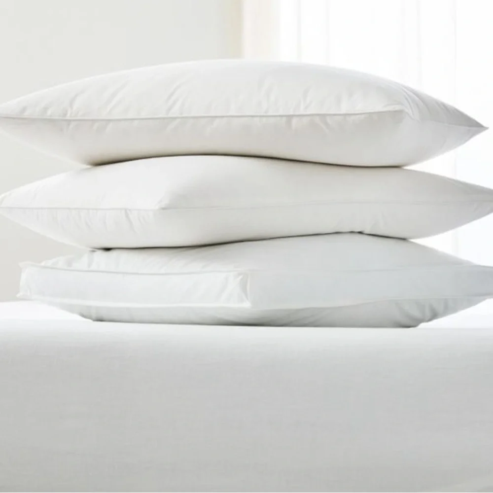 2 West Elm HydroCool Alternative Pillows⭐️NEW